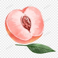 WWW,321av·COM网站APP